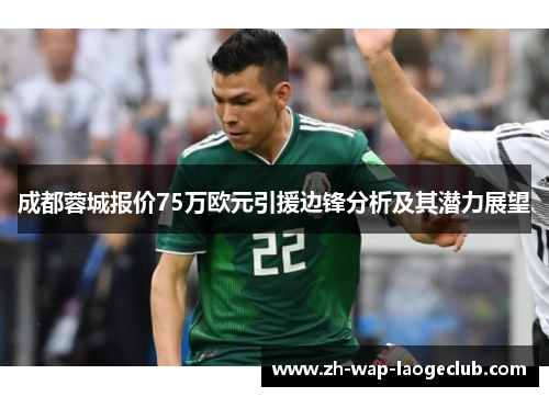 成都蓉城报价75万欧元引援边锋分析及其潜力展望