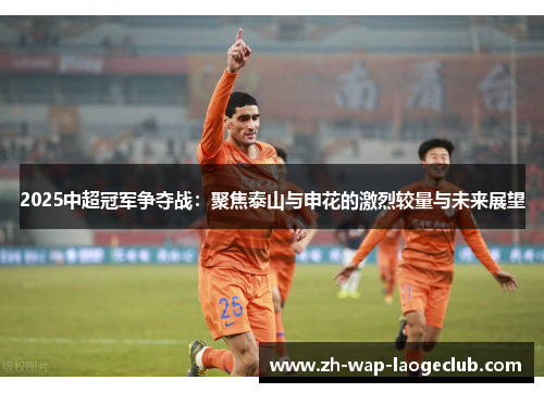 2025中超冠军争夺战：聚焦泰山与申花的激烈较量与未来展望