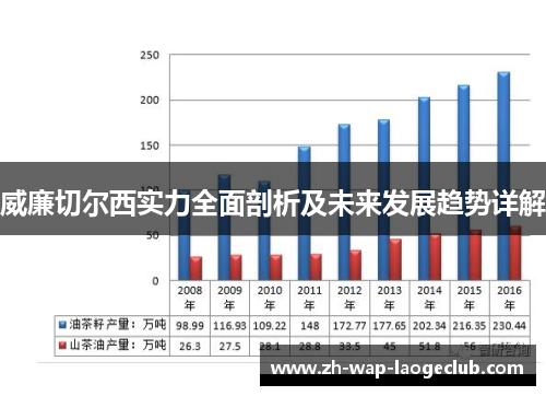 威廉切尔西实力全面剖析及未来发展趋势详解